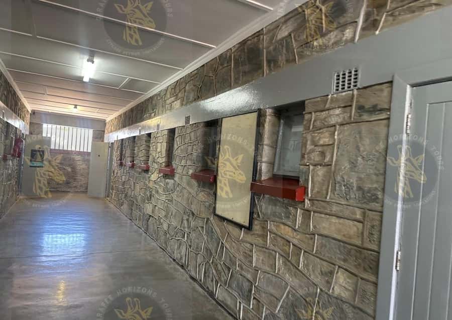 Cape Town: Robben Island Ferry with Prison Ticket and Tour - Starting at the Nelson Mandela Gateway
