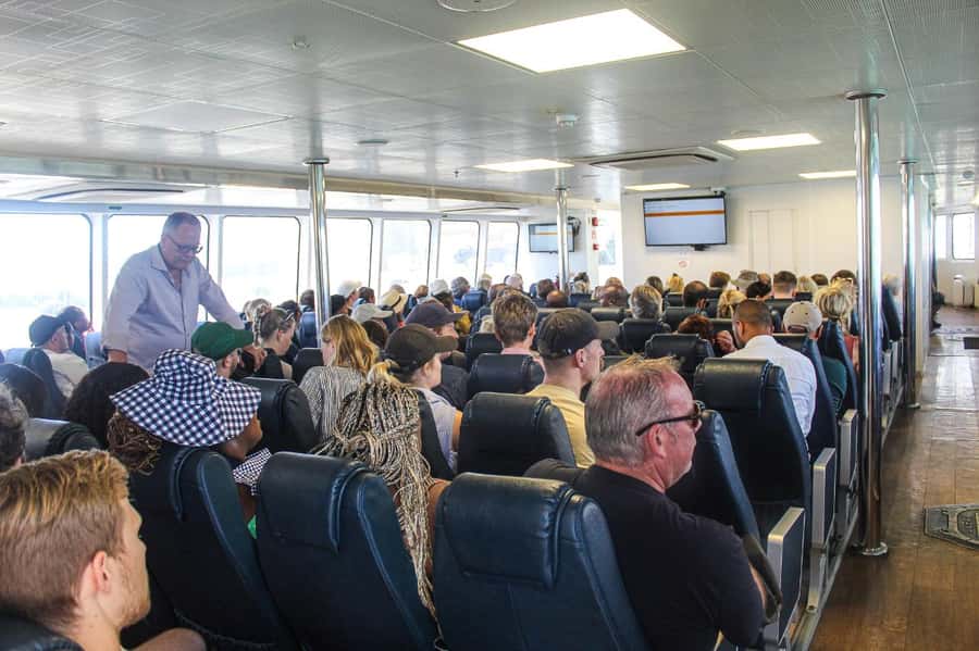 Cape Town:Robben Island Guided Tour, Skip the Ticketing Line - The Island Tour and Langham Place