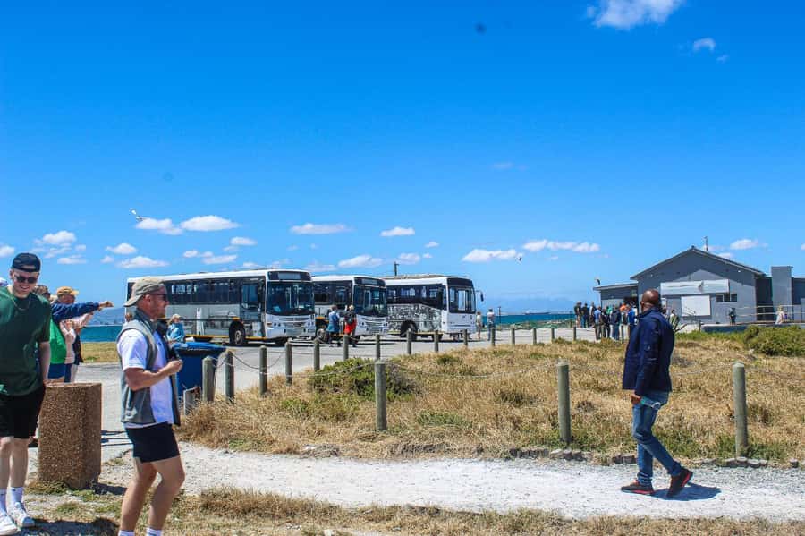 Cape Town:Robben Island Guided Tour, Skip the Ticketing Line - What the $73 Price Really Covers