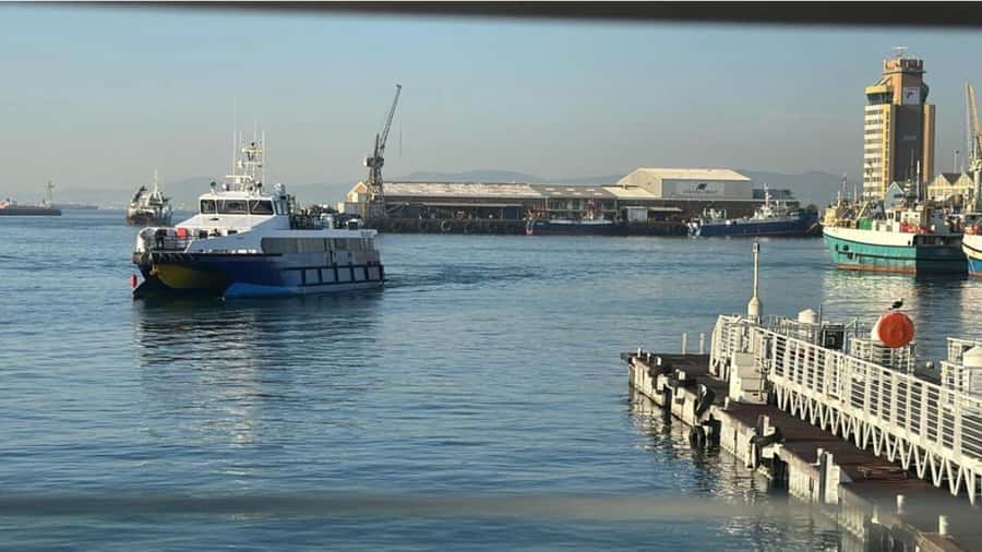 Cape Town: Robben Island Half-Day Tour with Entry Tickets - Booking Tips for a Smoother Day