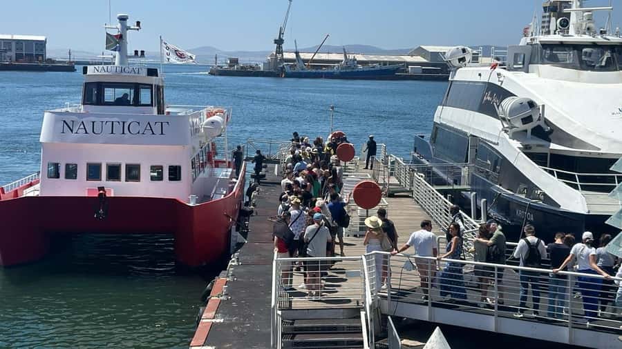 Cape Town: Robben Island Half-Day Tour with Entry Tickets - Price and What You Get for $73