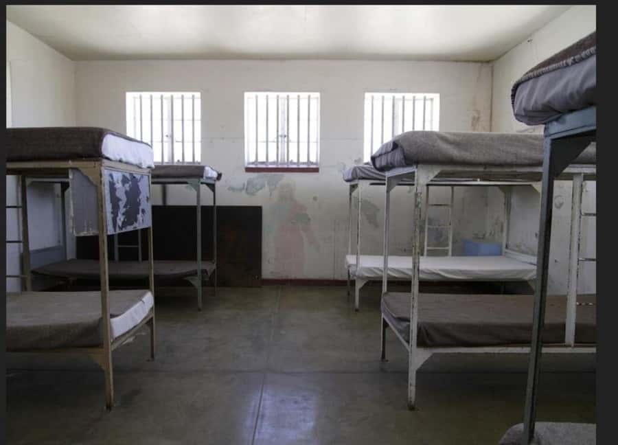 Cape Town: Robben Island Tour Including all Entry Tickets. - Timing, pickup, and the shape of your day