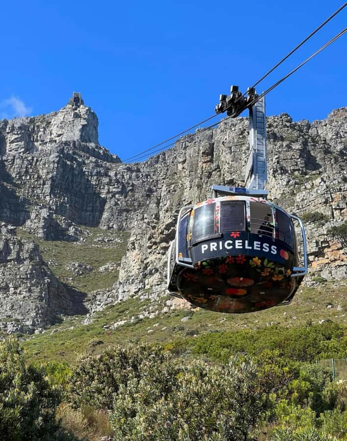 Cape Town: Robben Island Tour Tickets and V&A Waterfront - Who will enjoy this half-day outing?
