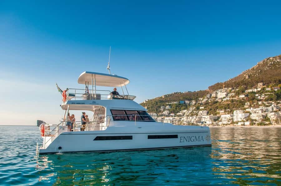 Cape Town: Scenic 1-Hour Coastal Catamaran Cruise - A fast, friendly hour on the water
