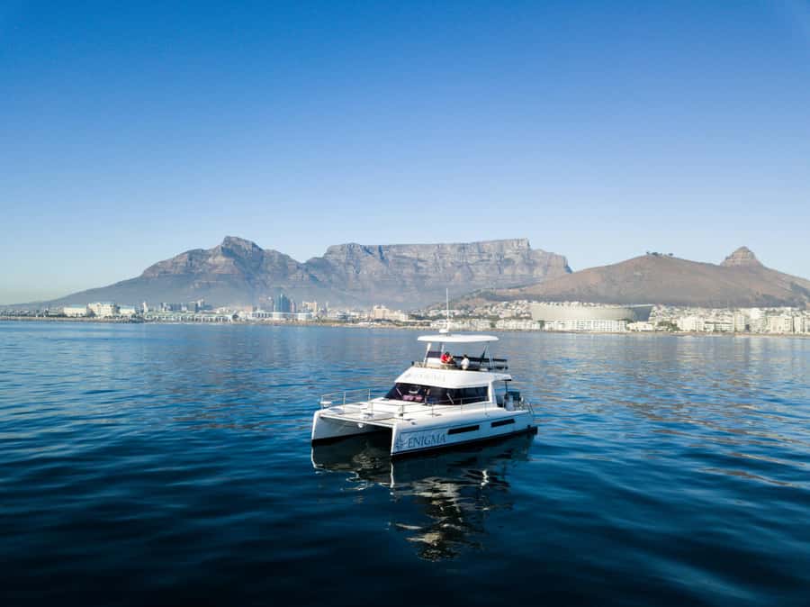 Cape Town: Scenic 1-Hour Coastal Catamaran Cruise - Wildlife watching without false promises