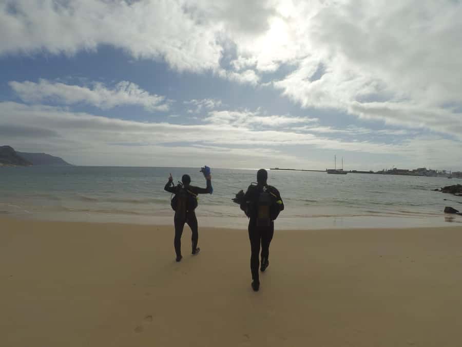 Cape Town: Scuba Diving Experience for Beginners - Cape Town’s underwater side near Simon’s Town