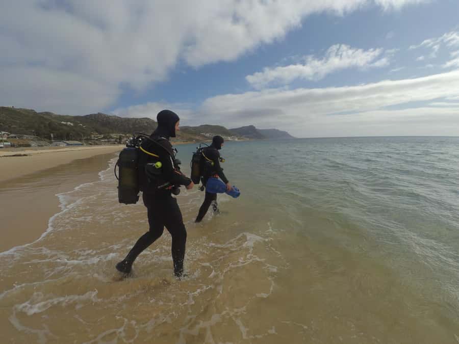 Cape Town: Scuba Diving Experience for Beginners - The 45-minute safety briefing in Simon’s Town