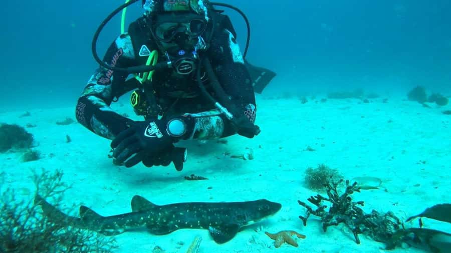 Cape Town: Scuba Diving Experience for Beginners - Who should book this experience?