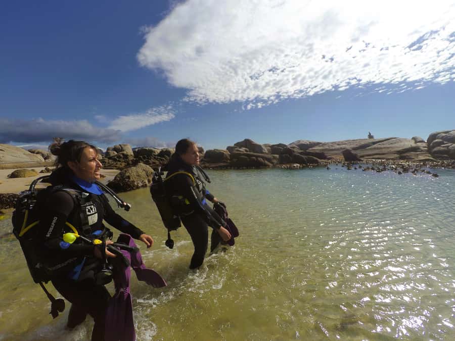 Cape Town: Scuba Diving Experience for Beginners - Practical preparation for the morning or afternoon