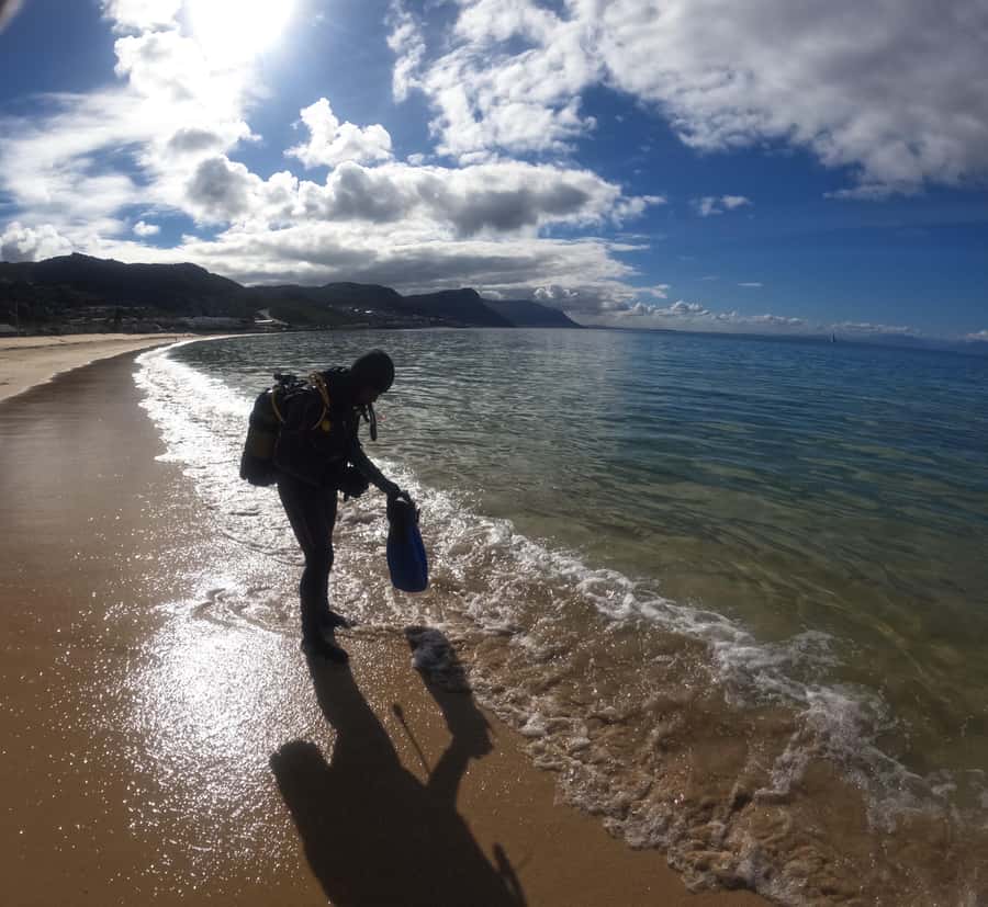 Cape Town: Scuba Diving Experience for Beginners - Getting fitted with booties, fins, and a wetsuit