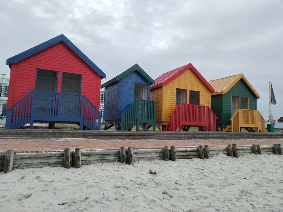 Cape Town: Seal Island, Cape of Good Hope& Penguins Private - Camps Bay, Clifton, and the first coastal views
