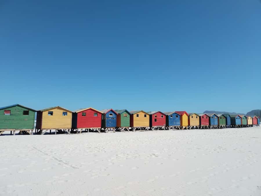 Cape Town: Seal Island, Cape of Good Hope& Penguins Private - Muizenbergs colorful beach huts