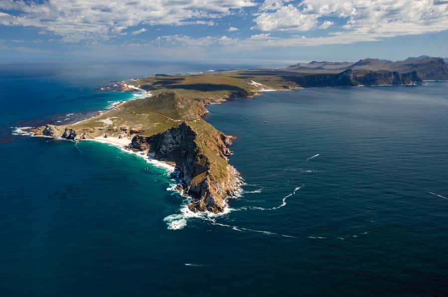Cape Town: Shark Cage Dive - Who will enjoy this most?