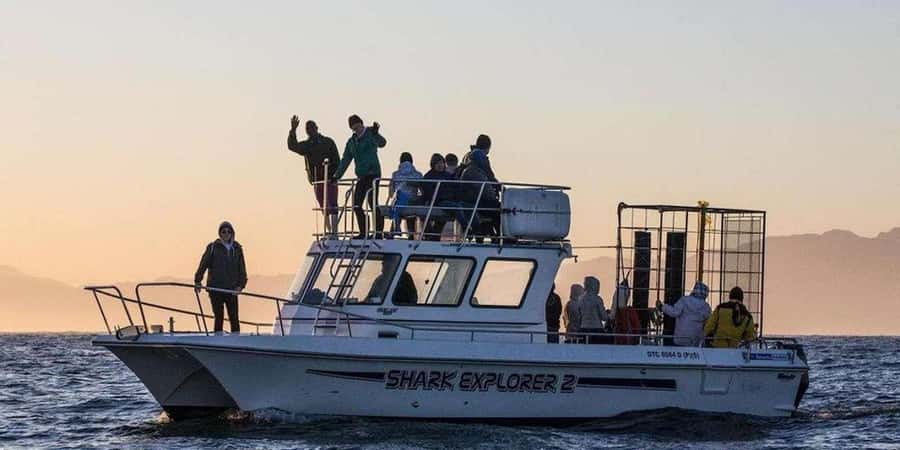 Cape Town: Shark Cage Diving Tour (with Breakfast & Lunch) - Gansbaai and the route to Shark Alley