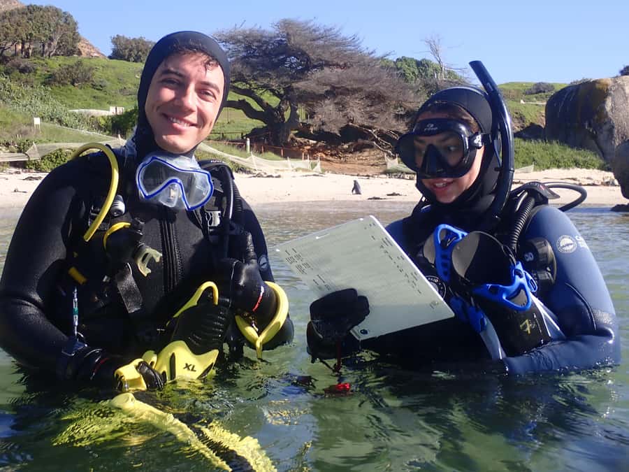 Cape Town: Shark Science SCUBA Diving Experience - Finding Cape RADD at False Bay Yacht Club