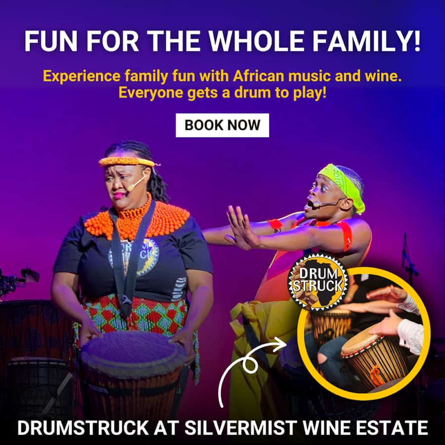 Cape Town: Silvermist Estate Wine Tasting & Drumstruck Show - Is the $28 price good value?