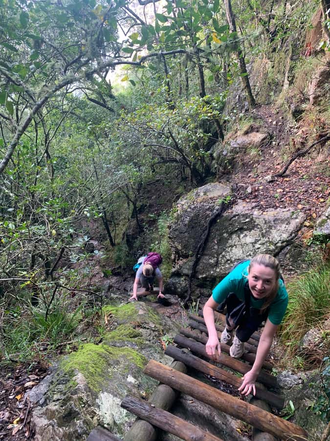 Cape Town: Skeleton Gorge and Kirstenbosch Gardens Hike - Starting among Kirstenbosch’s 7,000 plant species