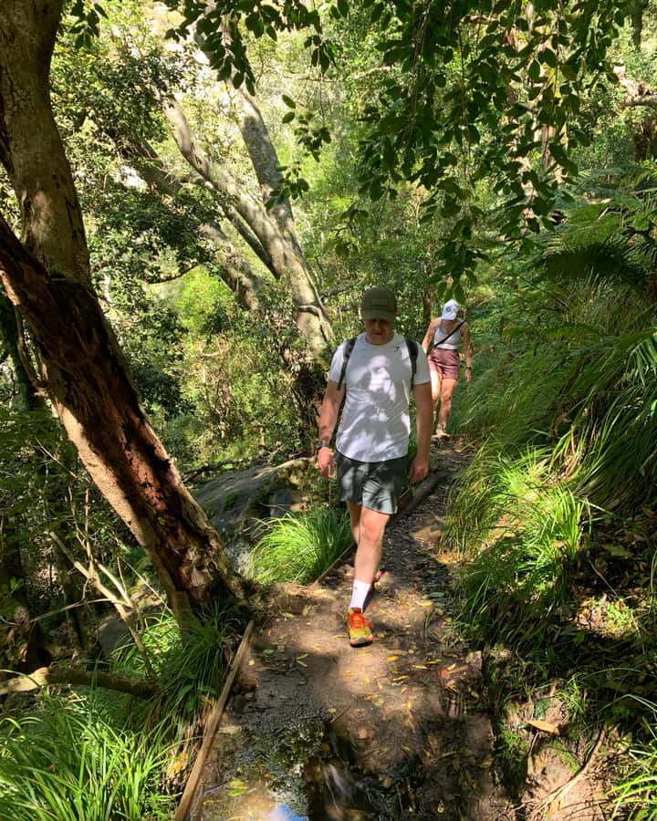 Cape Town: Skeleton Gorge and Kirstenbosch Gardens Hike - The shaded start of Skeleton Gorge