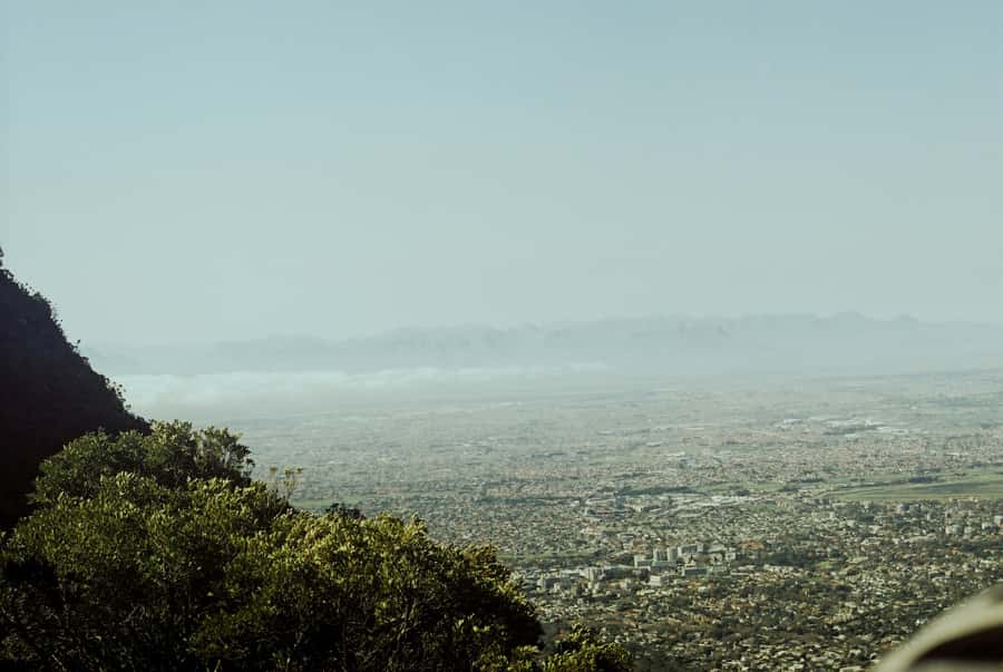 Cape Town: Skeleton Gorge and Kirstenbosch Gardens Hike - Why the botanical guiding matters