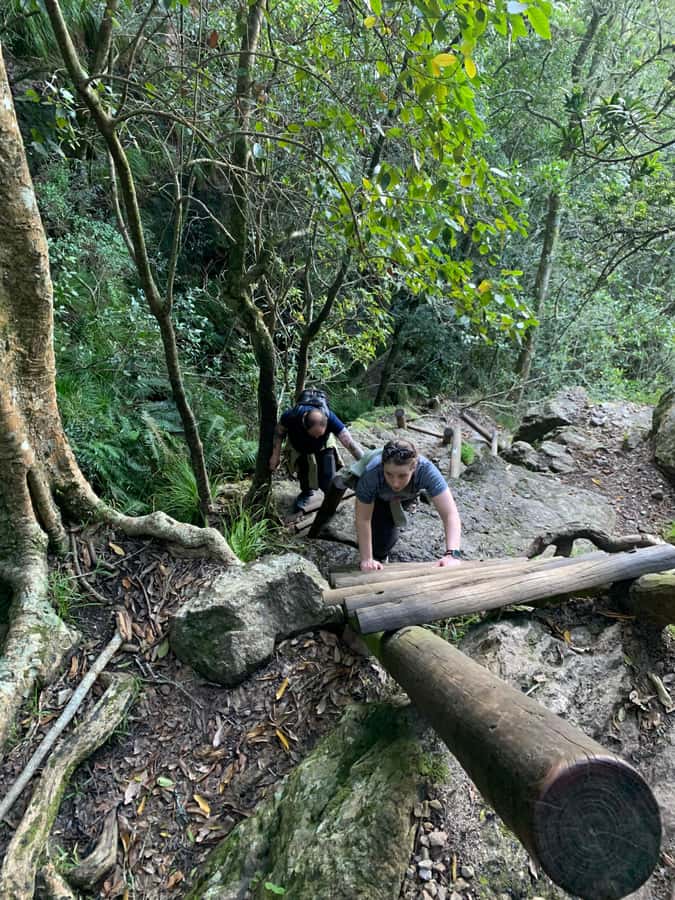 Cape Town: Skeleton Gorge and Kirstenbosch Gardens Hike - What the $93 price really covers