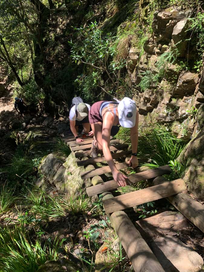 Cape Town: Skeleton Gorge and Kirstenbosch Gardens Hike - Booking details worth knowing