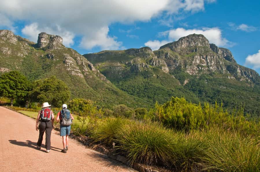 Cape Town: Skeleton Gorge and Kirstenbosch Gardens Hike - Should you book Skeleton Gorge?