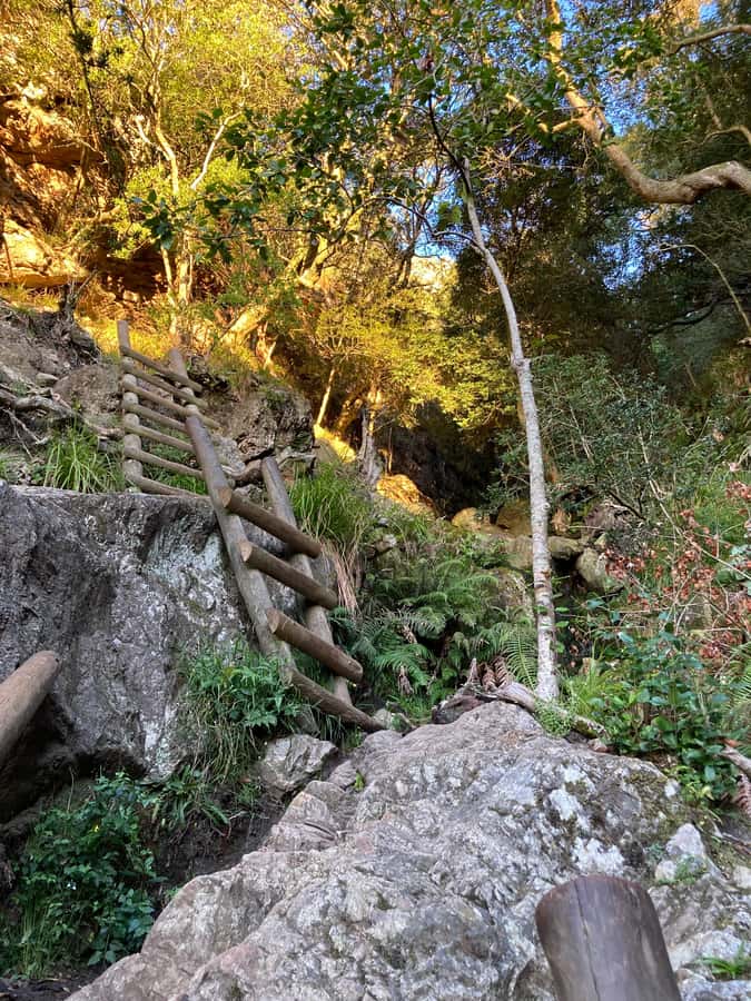 Cape Town: Skeleton Gorge Hike to Table Mountain Summit - The Dams and the Sandy Beach Detour