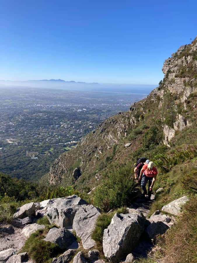 Cape Town: Skeleton Gorge Hike to Table Mountain Summit - Climbing Skeleton Gorge Through Indigenous Forest