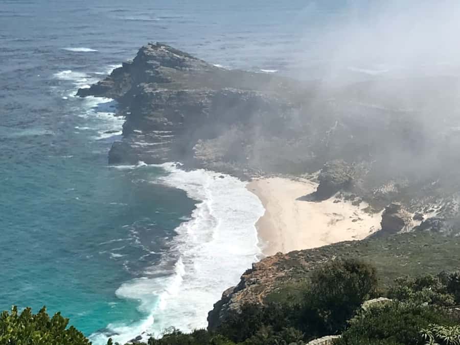 Cape Town: Some Attractions of the Cape (private & exclusiv) - Fynbos makes the Cape more than a scenic drive
