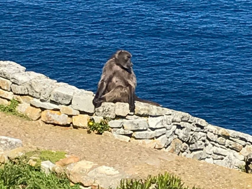 Cape Town: Some Attractions of the Cape (private & exclusiv) - Cape of Good Hope brings the famous name into focus