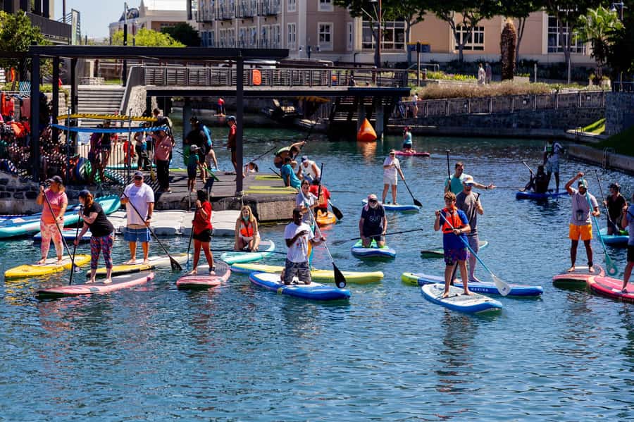 Cape Town: Stand-Up Paddle Board Rental with Basic Training - Starting at Battery Park near the V&A Waterfront