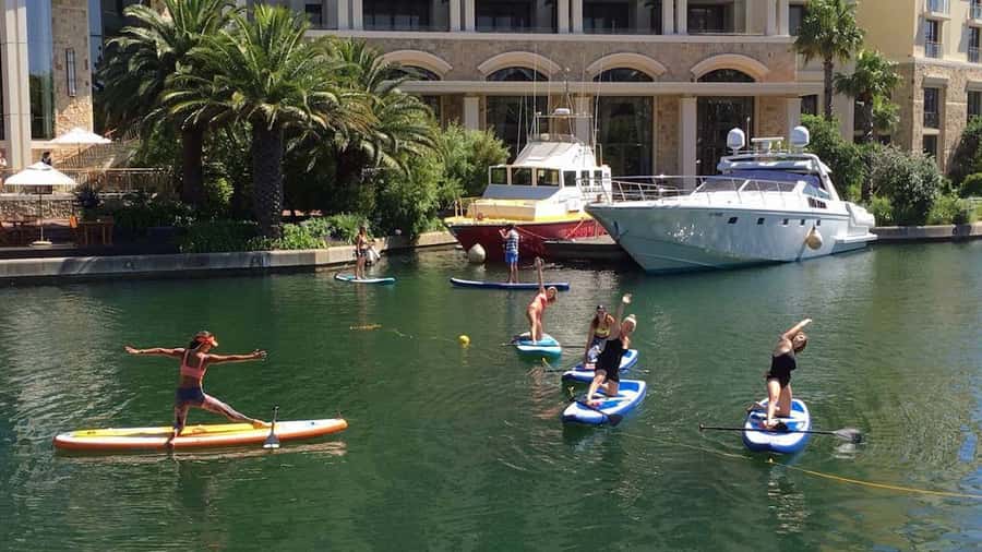 Cape Town: Stand-up Paddleboard Experience - Gliding through the canals for 30 or 60 minutes