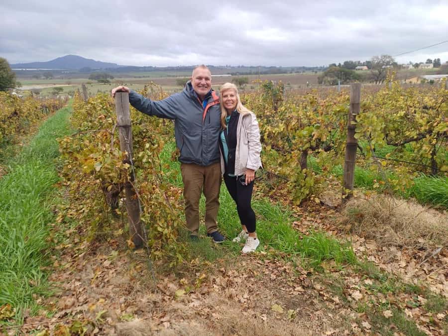 Cape Town: Stellenbosch and Paarl Half-Day Wine Tour - From Cape Town hotels to Paarl’s Mariane estate