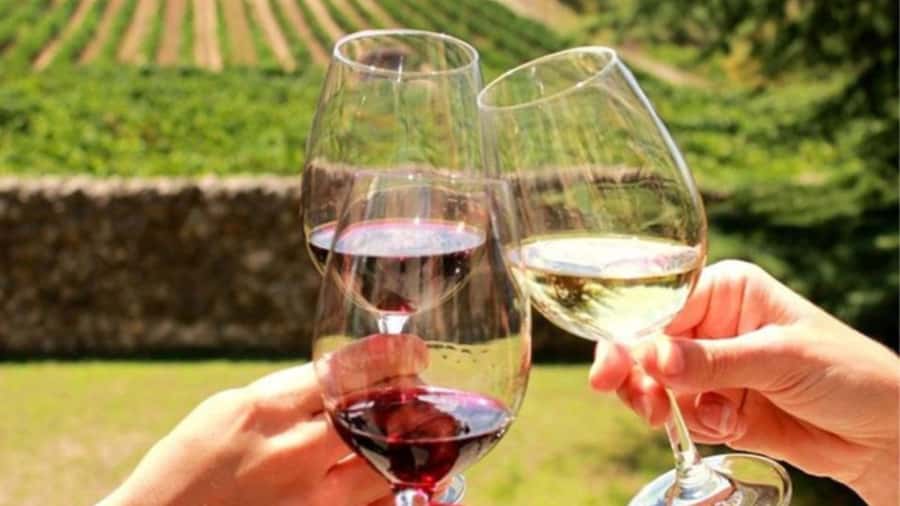 Cape Town: Stellenbosch, Franschhoek and Paarl Wine Day Trip - Franschhoek finishes with heritage and sweet pairings