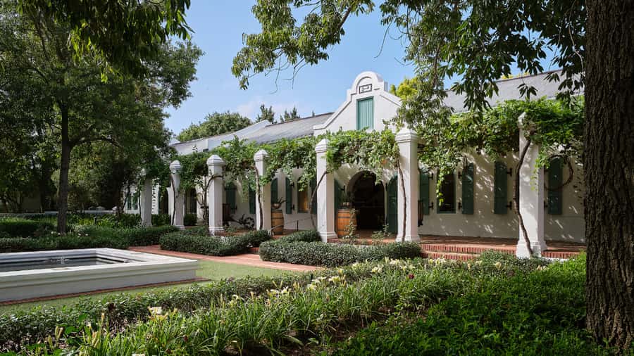 Cape Town: Stellenbosch, Franschhoek and Paarl Wine Day Trip - Food choices and drink-free options