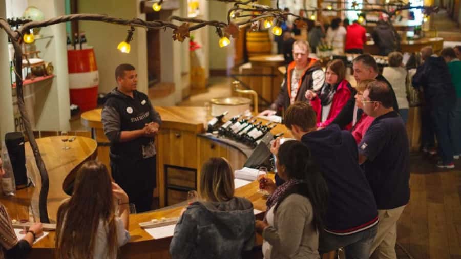 Cape Town: Stellenbosch, Franschhoek and Paarl Wine Day Trip - Should you book this Cape Winelands day trip?