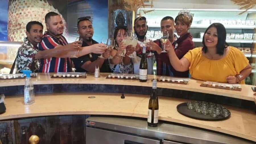 Cape Town: Stellenbosch, Franschhoek and Paarl Wine Day Trip - Paarl starts with cheese and a cellar visit