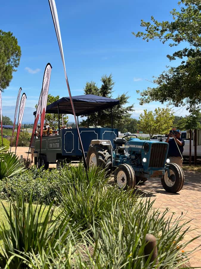 Cape Town: Stellenbosch Hop-On Hop-Off Tractor Transfer - Key points to know