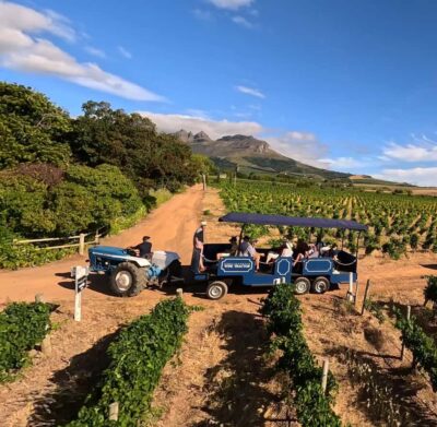 Stellenbosch Hop-On Hop-Off Tractor Transfer