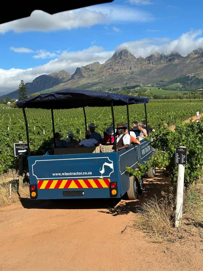Cape Town: Stellenbosch Hop-On Hop-Off Tractor Transfer - The wine experience: farms, producers, and local character