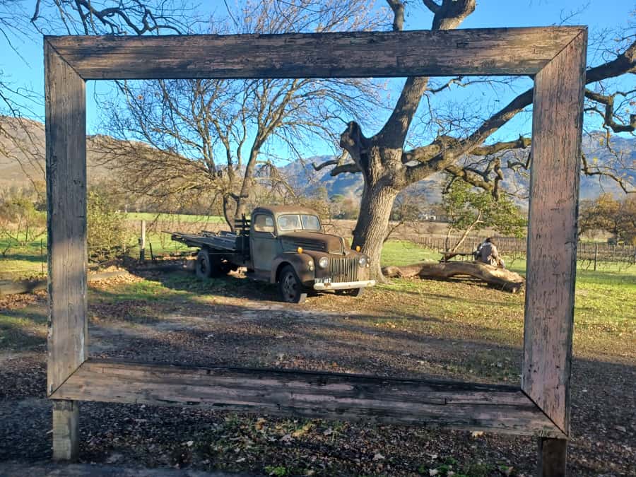 Cape Town: Stellenbosch Wine Half-Day Tour - Fairview brings cheese to the table