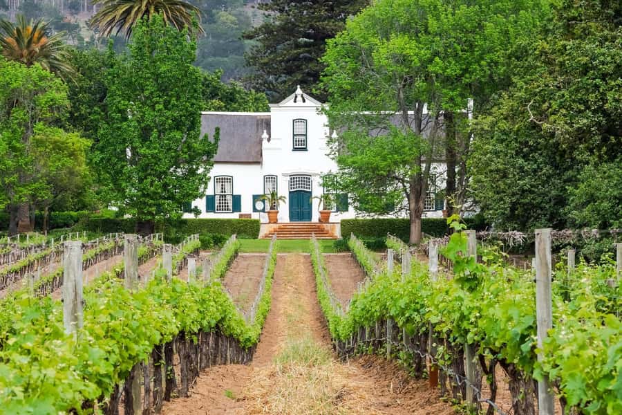Cape Town: Stellenbosch Wine Half-Day Tour - The guide can make or break the day