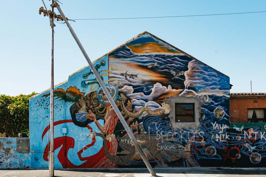Cape Town: Street Art Walking Tour in Woodstock - Salt River Nature Park and the Route’s Wider View