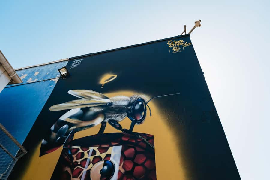 Cape Town: Street Art Walking Tour in Woodstock - What the Guides Add