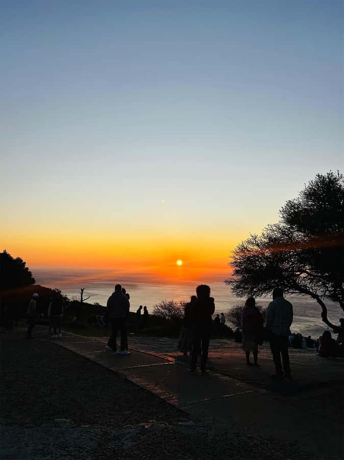 Cape Town: Sunset Bus Tour with Picnic on Signal Hill - Is $17 good value?