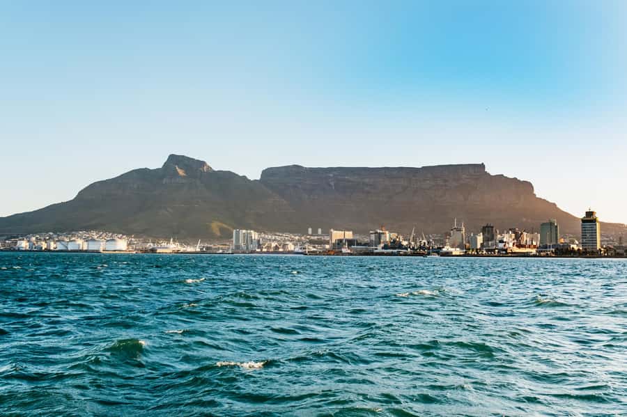 Cape Town: Sunset Catamaran Cruise on Table Bay with Bubbles - The crew and the mood on board