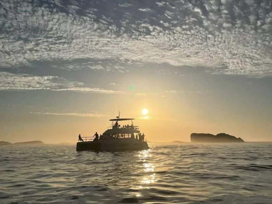 Cape Town: Sunset Champagne Cruise - Why this 90-minute cruise works so well at sunset