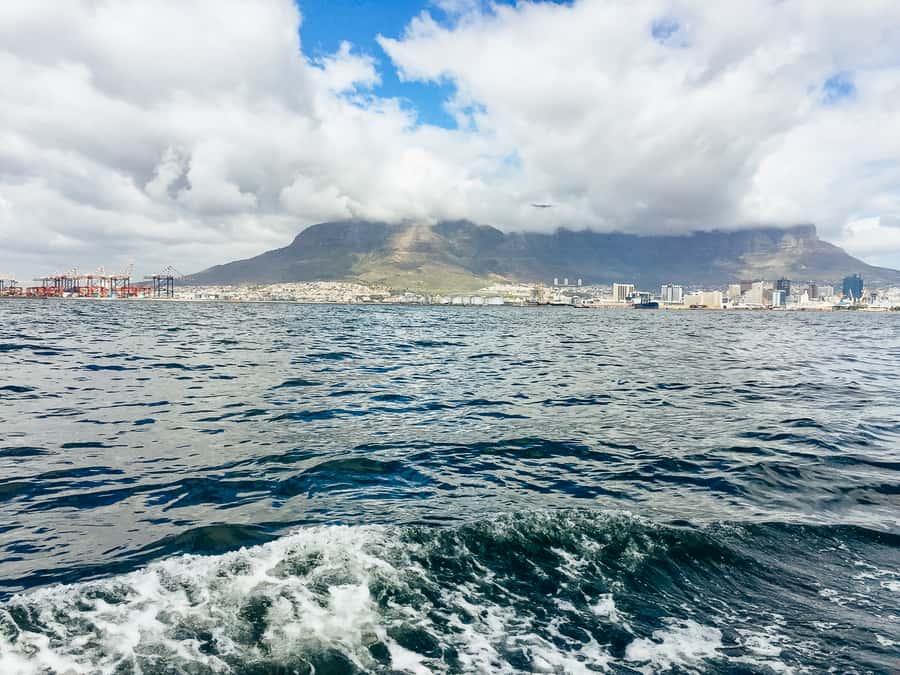 Cape Town: Sunset Champagne Cruise - Winter routes toward Clifton or Robben Island