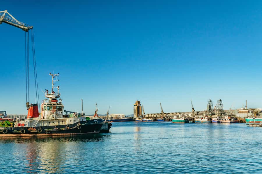 Cape Town: Sunset Champagne Cruise and 3-Course Dinner - Should you book the Cape Town sunset dinner cruise?