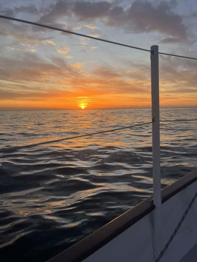 Cape Town: Sunset Cruise from V&A Waterfront with Bubbly - Who will enjoy this Cape Town cruise